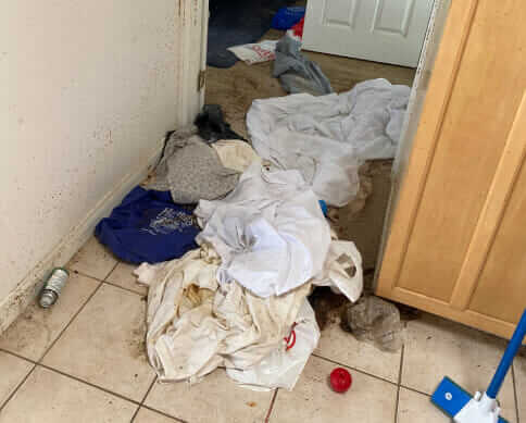 Bio-One of Charlotte, a team you can rely on.