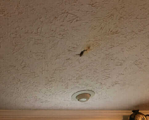 Bio-One of Charlotte is the right team for the job