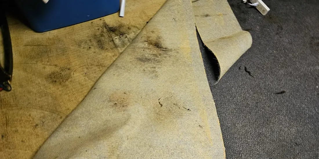 Floodwaters that enter your home are often far from clean, and once the water recedes, it leaves behind contamination that can quickly lead to mold growth.