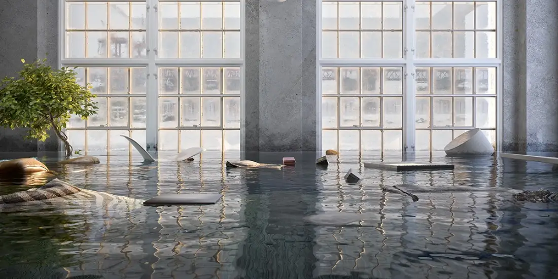 Due to the potential for disease transmission and contamination of the environment, these biohazards demand immediate, specialized attention. 